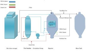 Kraft pulping process